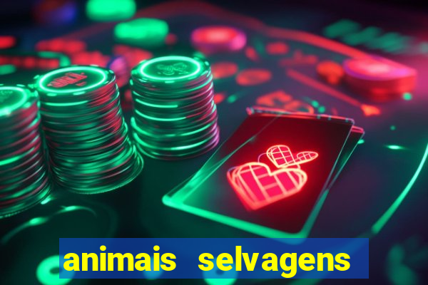 animais selvagens fotos e nomes